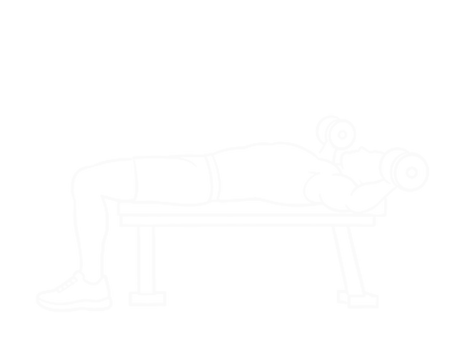 덤벨 플라이 — 시작