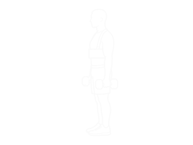 Dumbbell Hammer Curls (With Arm Blaster) — Start