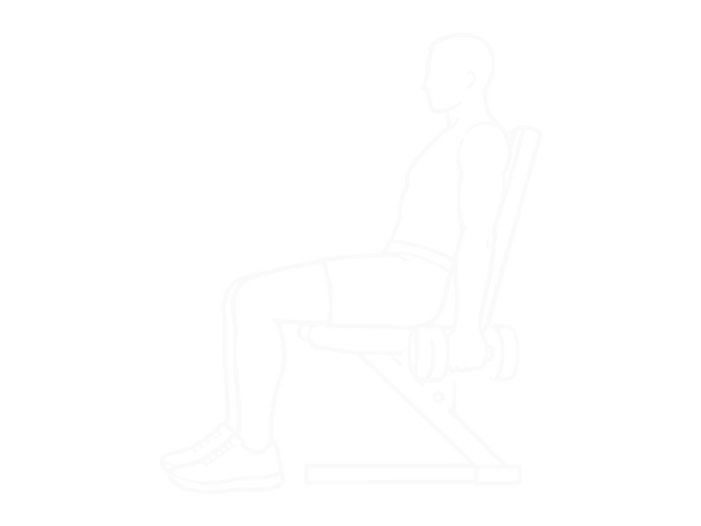 Incline Dumbbell Hammer Curl — Start