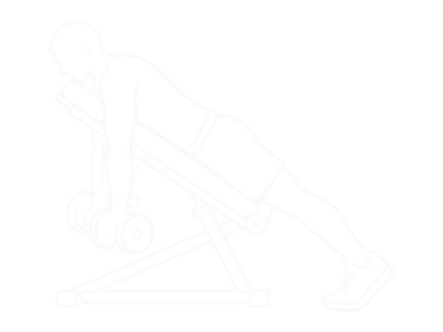Incline Dumbbell Shrug — 시작