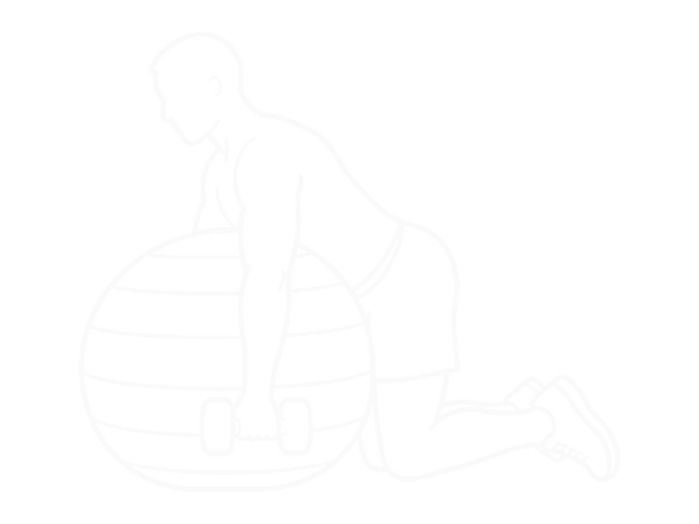 Kneeling Dumbbell Biceps Curl Exercise Ball — 시작