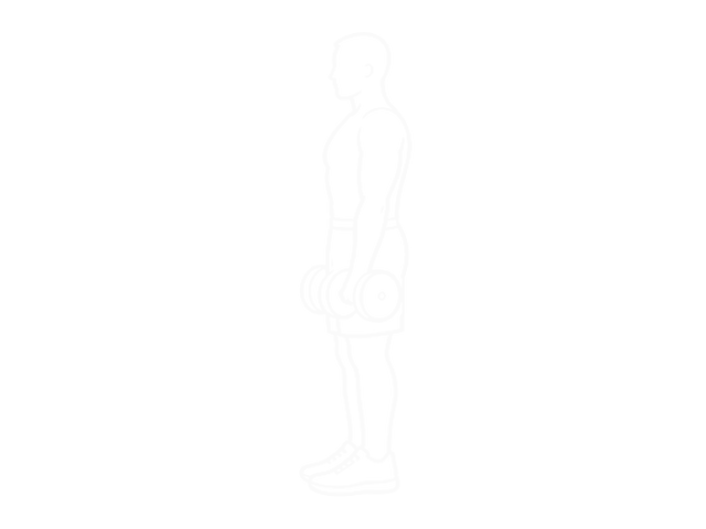 Dumbbell Lunge — 시작
