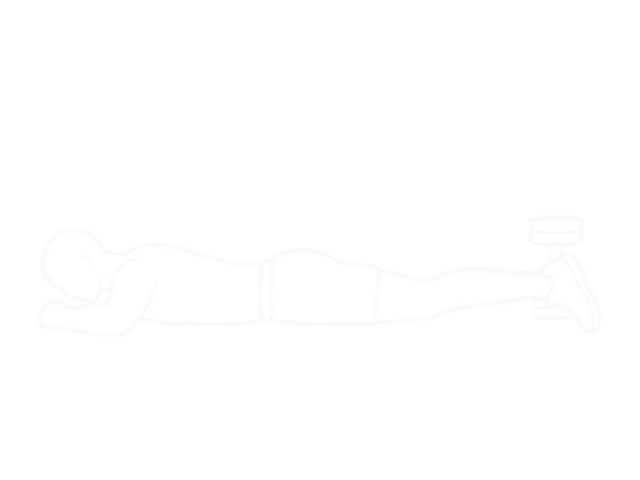Lying Dumbbell Femoral — 시작