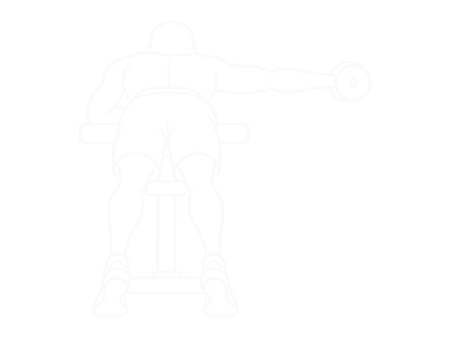 Lying One-Arm Dumbbell Deltoid Rear — 끝