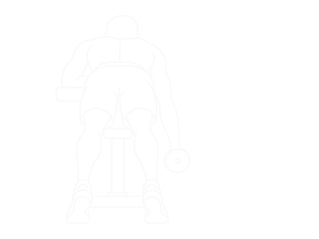 Lying One-Arm Dumbbell Deltoid Rear — 시작