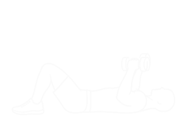Lying Dumbbell Supine Biceps Curl — 끝