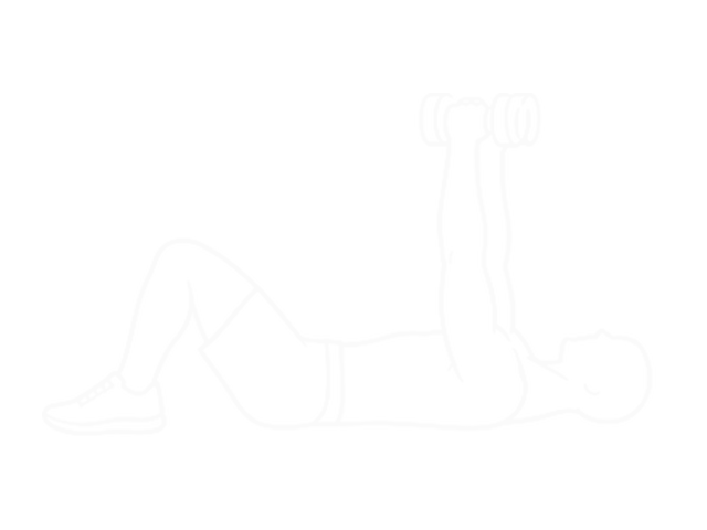 Lying Dumbbell Supine Biceps Curl — 시작