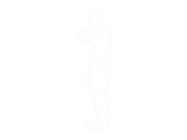 One-Arm Dumbbell Reverse Preacher Curl — 끝