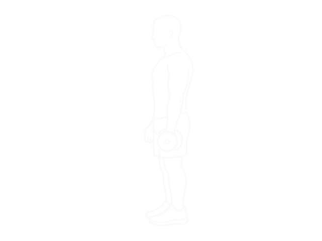 One-Arm Dumbbell Reverse Preacher Curl — 시작