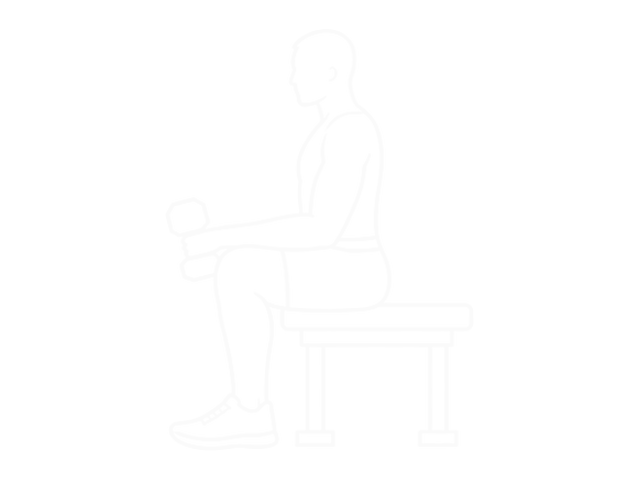 One-Arm Dumbbell Reverse Wrist Curl — 끝