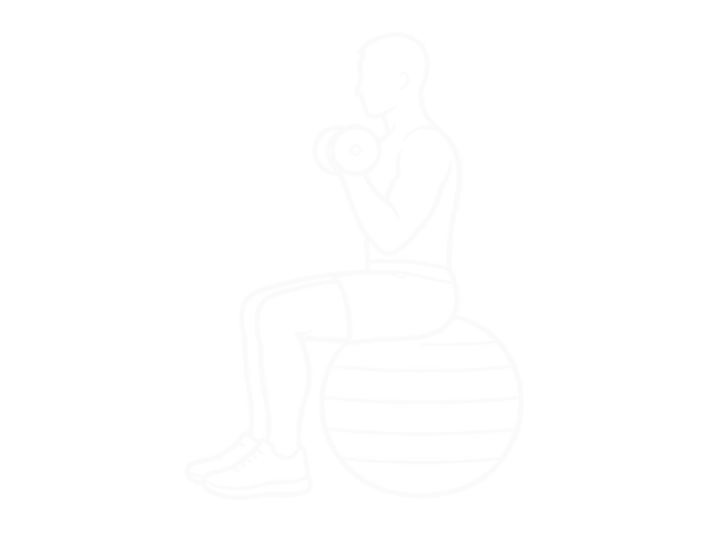 Seated One-Arm Dumbbell Biceps Curl on Exercise Ball — End