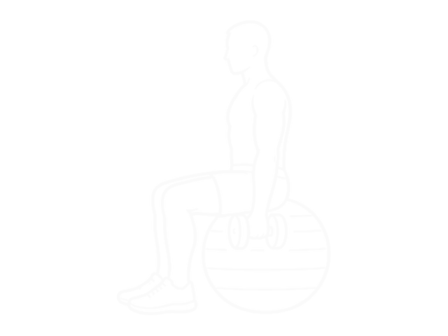 Seated One-Arm Dumbbell Biceps Curl on Exercise Ball — Start