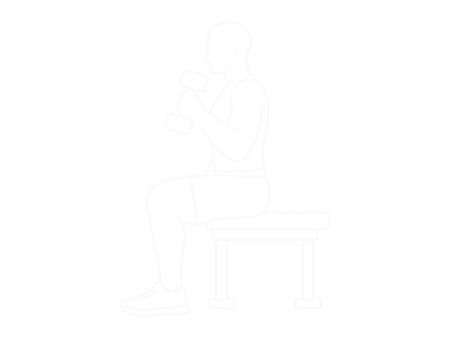 Seated One-Arm Dumbbell Hammer Curl — 끝