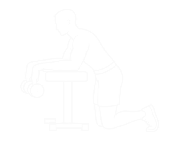 Dumbbell Over Bench Revers Wrist Curl — Start
