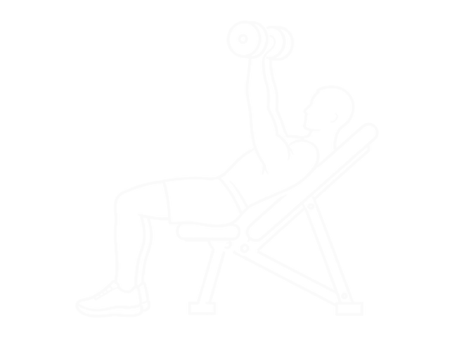 Dumbbell Palms in Incline Bench Press — 끝