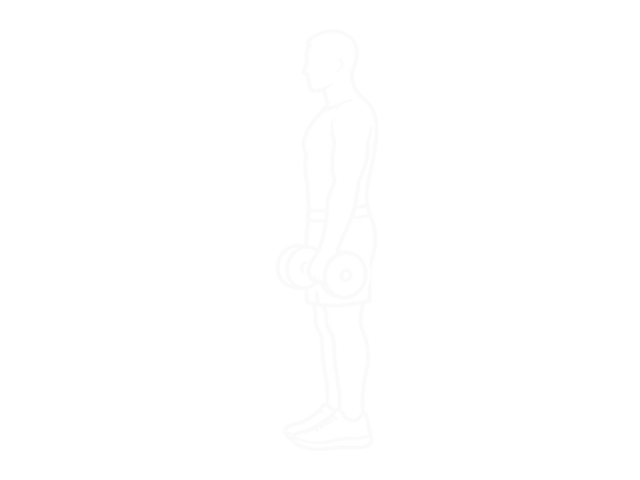 Dumbbell Peacher Hammer Curl — Start