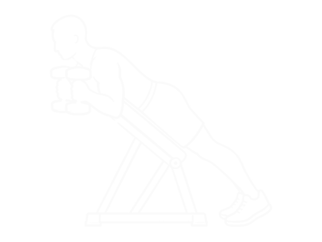 Prone Incline Dumbbell Hammer Curl — 끝