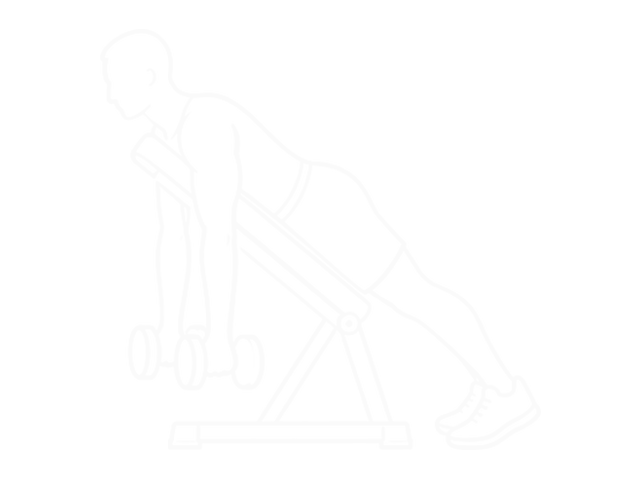 Prone Incline Dumbbell Hammer Curl — 시작