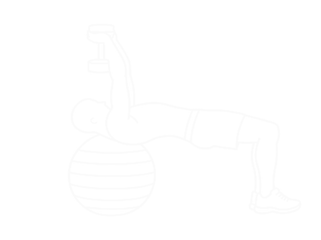 Dumbbell Pullover on Exercise Ball — End