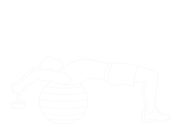 Dumbbell Pullover on Exercise Ball — Start
