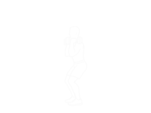 Dumbbell Push Press — 시작