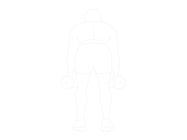 Dumbbell Rear Delt Row_Shoulder — Start