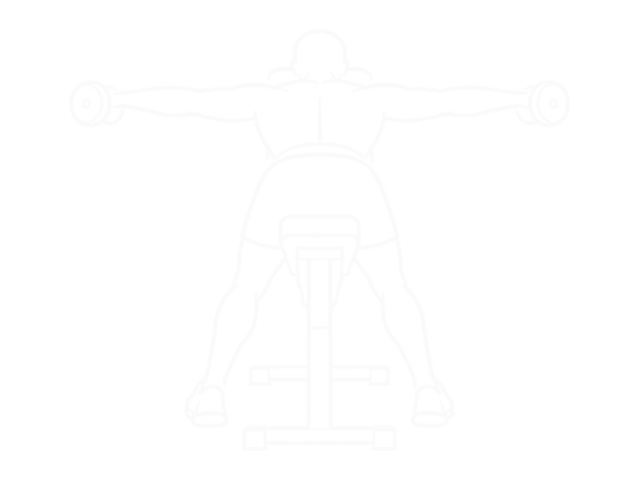 Dumbbell Rear Lateral Raise (Support Head) — End