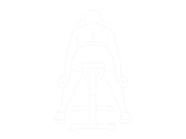 Dumbbell Rear Lateral Raise (Support Head) — Start