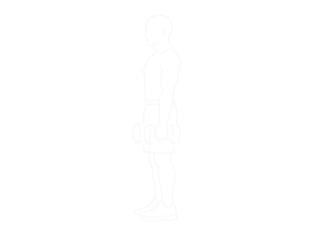 Dumbbell Rear Lunge — 시작