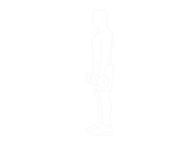 Dumbbell Revers Grip Biceps Curl — Start