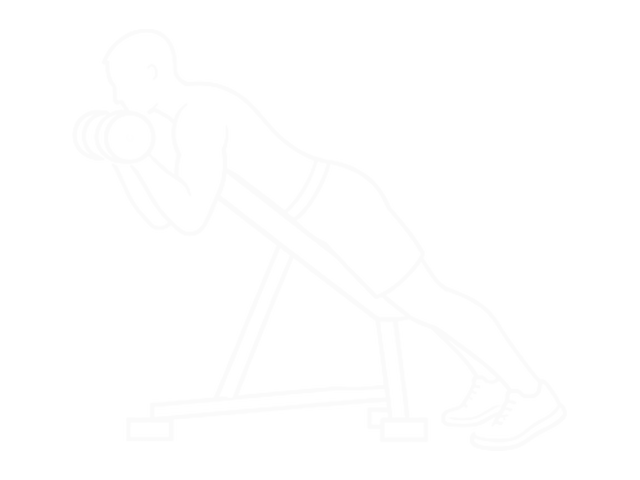 Dumbbell Reverse Spider Curl — End