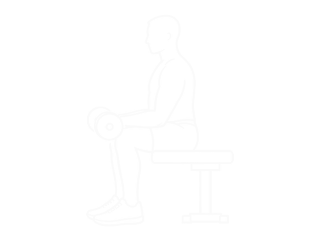 Dumbbell Reverse Wrist Curl — 끝