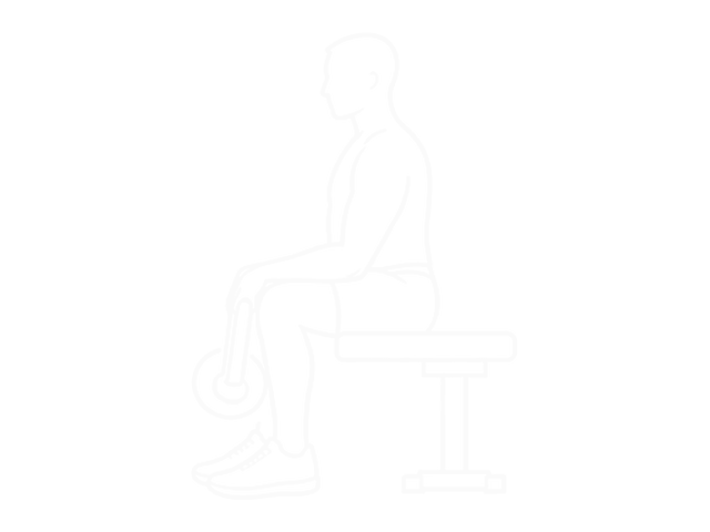 Dumbbell Reverse Wrist Curl — 시작