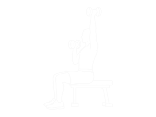 Seated Dumbbell Alternate Shoulder — End