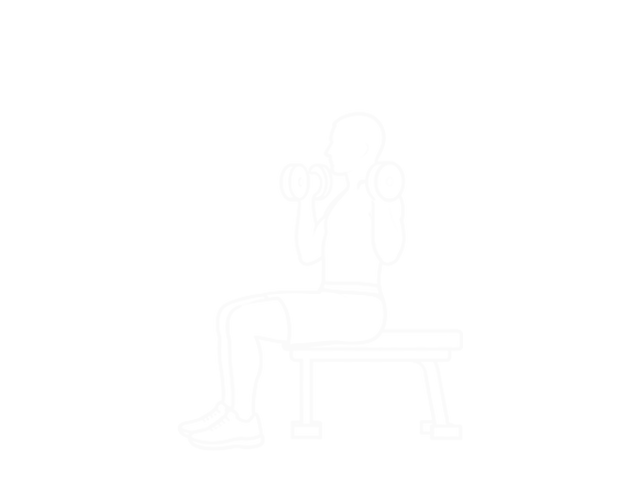 Seated Dumbbell Alternate Shoulder — Start