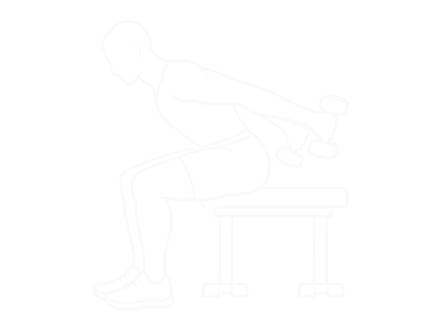 Seated Dumbbell Bent Over Triceps Extension — 끝