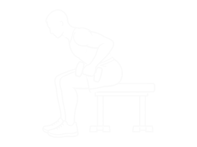 Seated Dumbbell Bent Over Triceps Extension — 시작