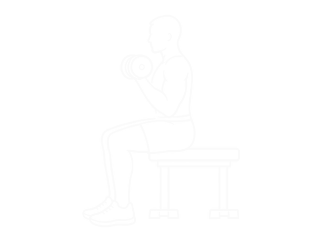 Seated Dumbbell Biceps Curl — 끝