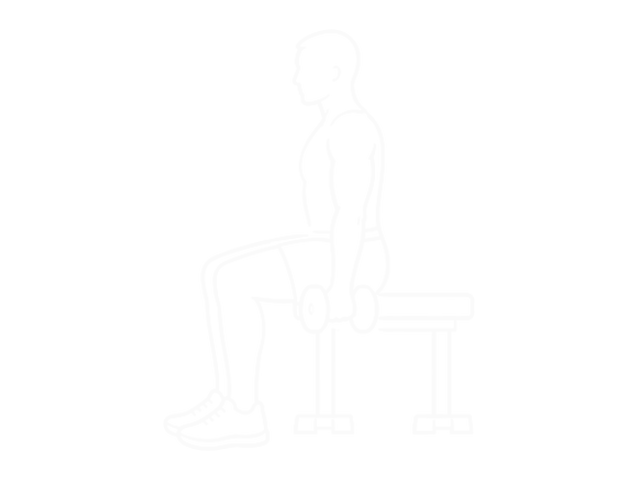Seated Dumbbell Biceps Curl — 시작