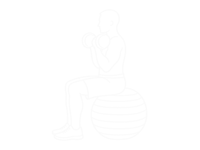 Seated Dumbbell Biceps Curl (On Stability Ball) — 끝