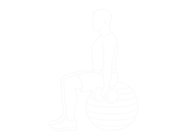 Seated Dumbbell Biceps Curl (On Stability Ball) — 시작