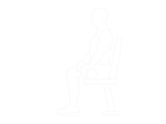 Seated Dumbbell Front Raise — 시작