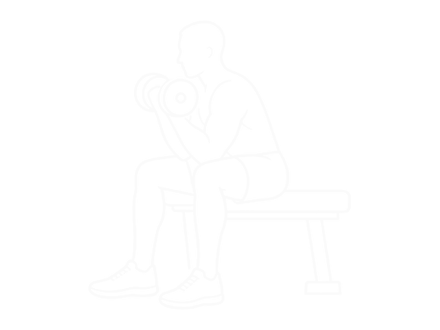Seated Dumbbell Inner Biceps Curl — 끝