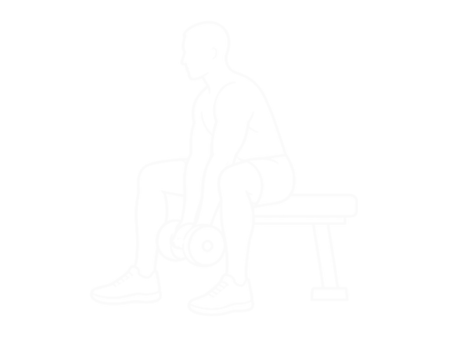 Seated Dumbbell Inner Biceps Curl — 시작
