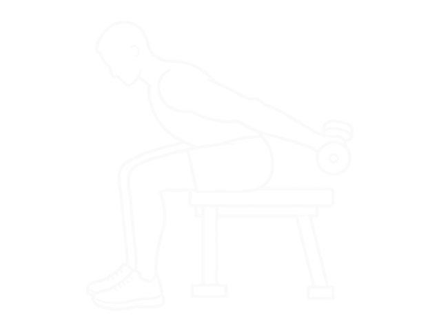 Seated Dumbbell Kickback — End