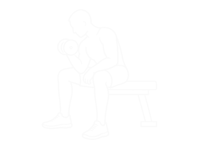 Seated Dumbbell Revers Grip Concentration Curl — End