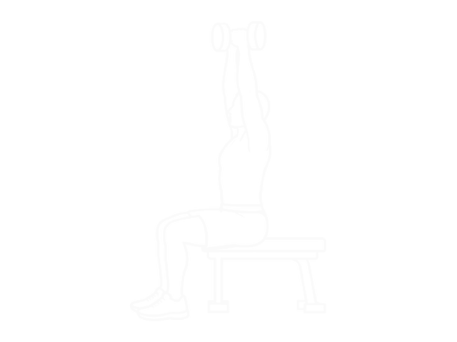 Seated Dumbbell Shoulder Press (Parallel Grip) — End