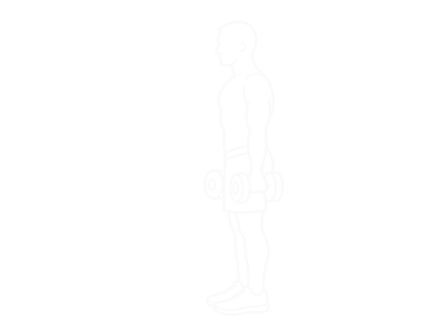 Dumbbell Squat — 시작