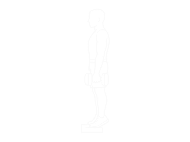 Standing Dumbbell Calf Raise — 끝