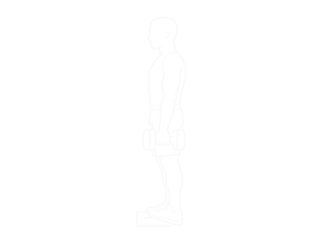 Standing Dumbbell Calf Raise — 시작